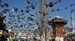 sebil golubovi sarajevo