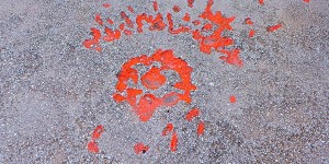 Sarajevo Rose